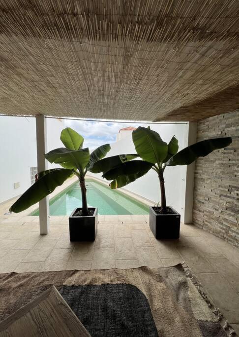 Costa Adeje Villa Private Pool Panoramic Views Exterior photo