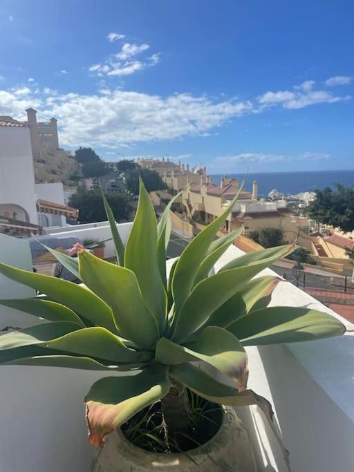 Costa Adeje Villa Private Pool Panoramic Views Exterior photo